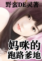 野蛮DE灵