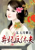 弃妃反休夫