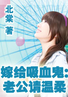 宋景小说