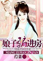 复仇剑小说