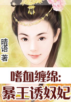 魔鬼契约的小说