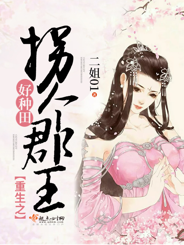 推荐王爷小说