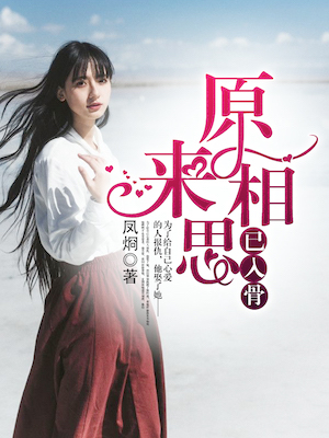 次元法典 小说
