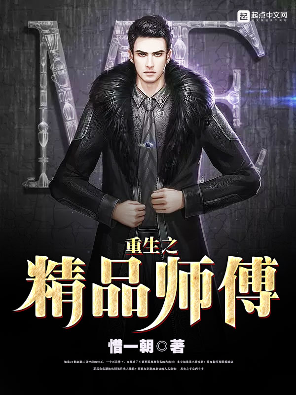 重生之精品师傅