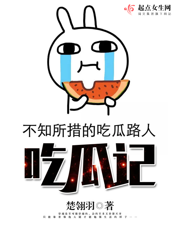 一夜风流小说