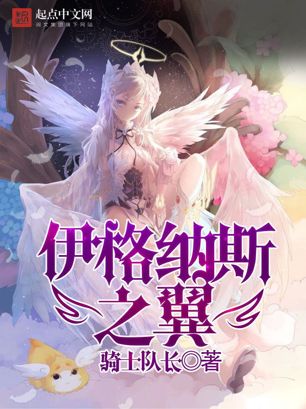 骑士队长