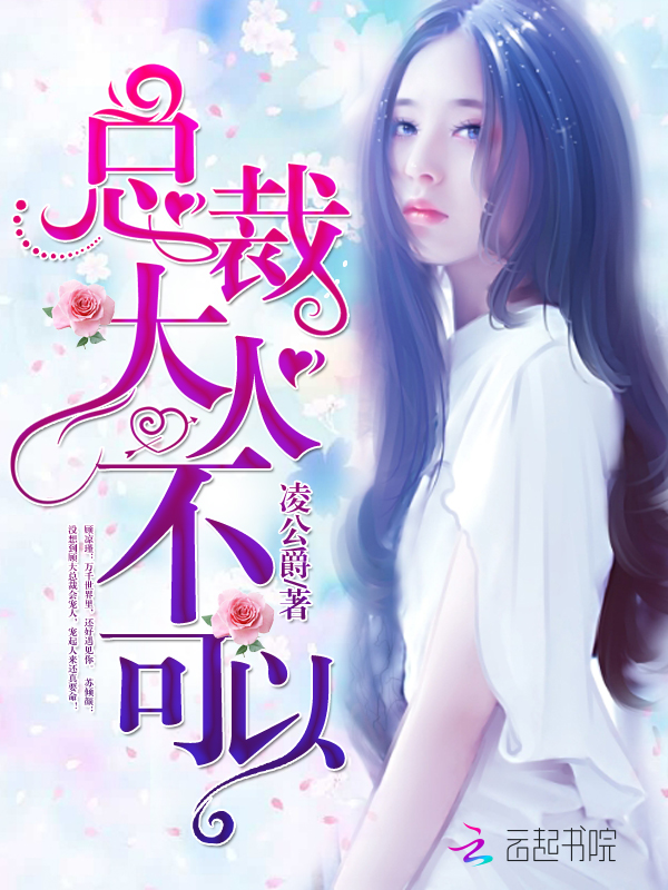 总裁大人,不可以