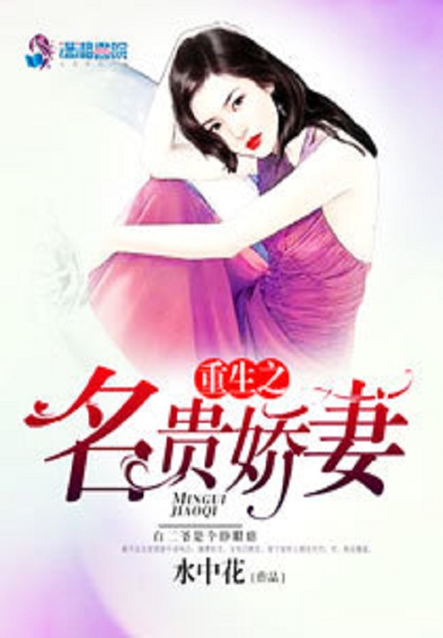 妖兽都市的小说