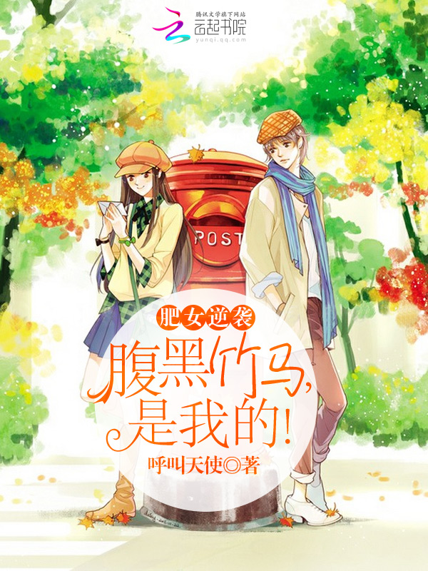 江山争雄小说