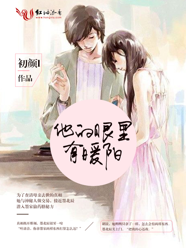 《他的眼里有暖阳》(主角叶北辰)大结局完本