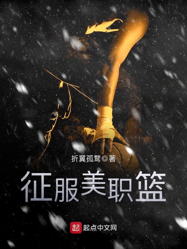 征服美职篮主角孙琦姚明完整版小说
