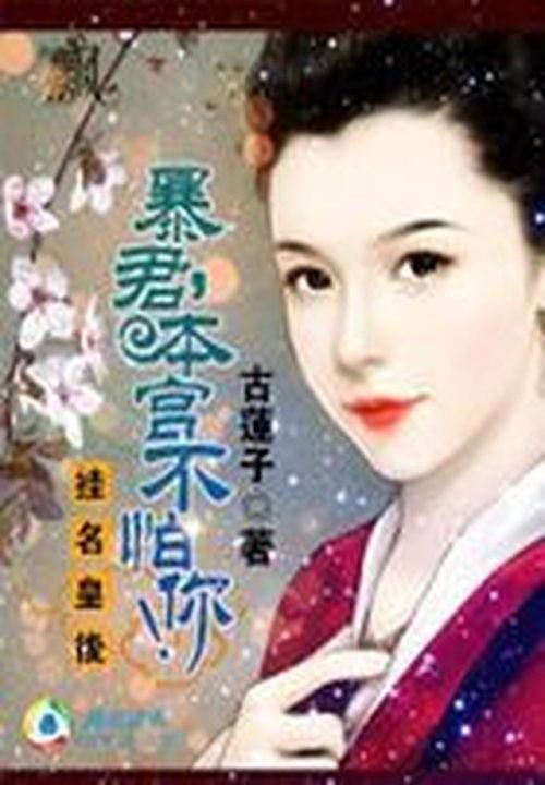 陆嚣小说