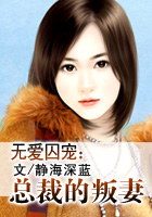 无爱囚宠:总裁的叛妻