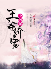 王爷娇宠小医妃