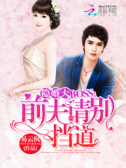隐婚大BOOS前夫请别挡道