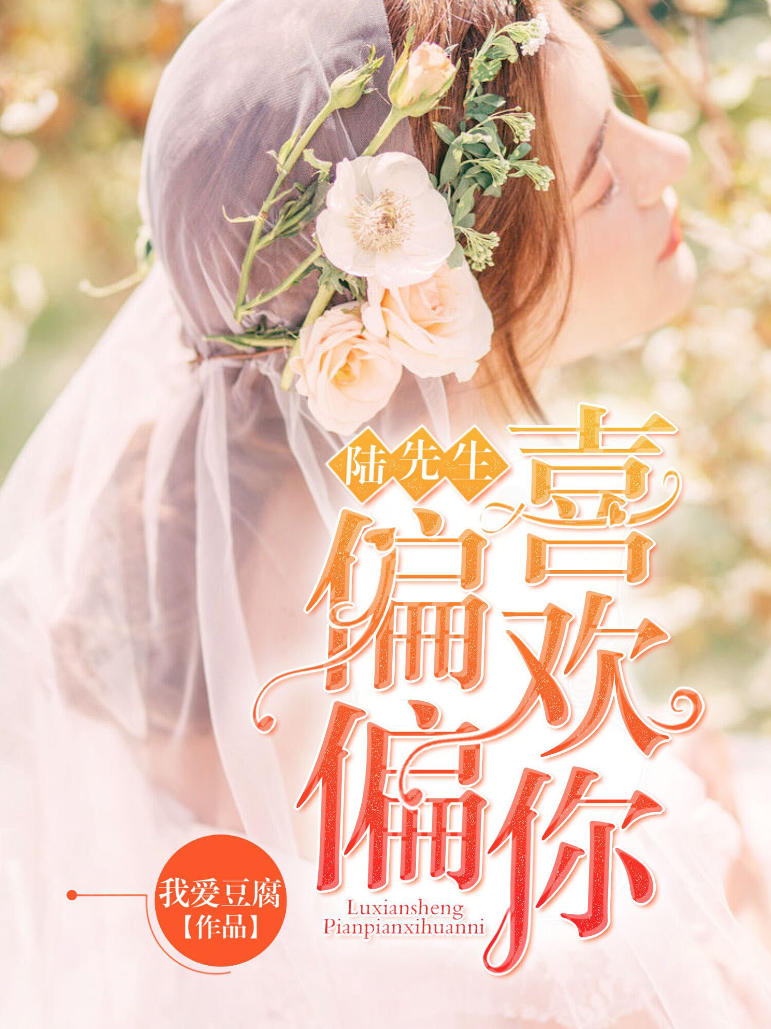 陆先生，偏偏喜欢你免费试读小说 苏暖雪陆南遇大结局在线阅读章节列表