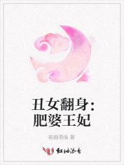 范丽的小说