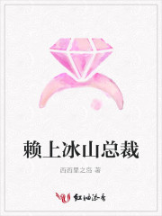 赖上冰山总裁