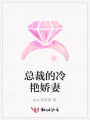 总裁的冷艳娇妻