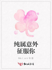 纯属意外征服你