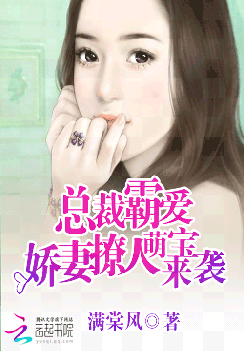 西峰寨的小说