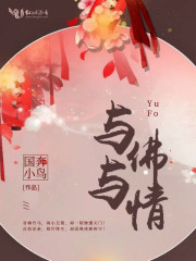 国奔小鸟