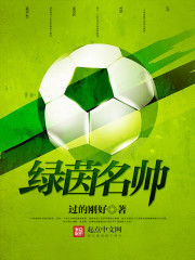 《绿茵名帅》主角赵铭马德里免费试读精彩阅读