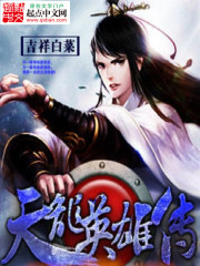 《天龙英雄传》主角段瑞武修完本完结版