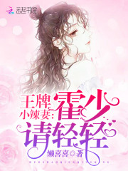 王牌小辣妻霍少请轻轻