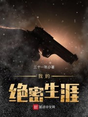 【我的绝密生涯大结局在线阅读最新章节】主角胡言王铁