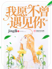 我愿不曾遇见你