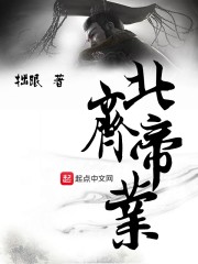 剑道类系统小说