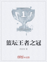 篮坛王者之冠
