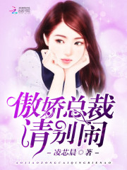 傲娇总裁请别闹