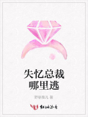 失忆总裁哪里逃