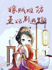 嫁贼难防王妃别逃跑