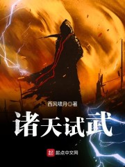 《诸天试武》主角庄主飞鸿免费阅读小说