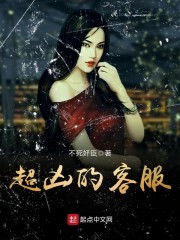 超凶的客服(主角陆岩老太太)在线试读大结局精彩章节