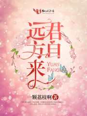 君自远方来