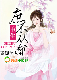 商业复仇小说
