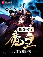 乡村收美小说