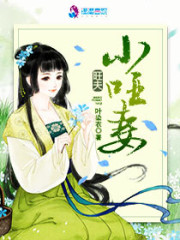 有关日赵丽颖小说
