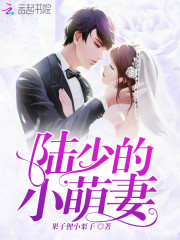 陆少的小萌妻