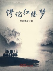 谬论红楼梦