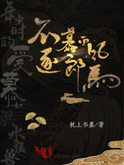 小公子的小说