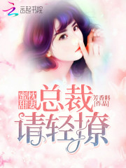 蜜枕甜妻总裁请轻撩