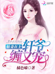 娇妻在上轩爷缠又宠