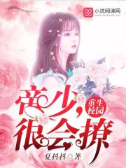 重生校园帝少很会撩