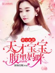 萌宝来袭天才宝宝腹黑妈咪