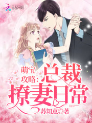 萌宝攻略总裁撩妻日常